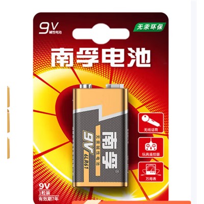 南孚9V电池